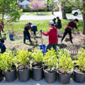 Exploring the Educational Programs Offered by Nonprofit Organizations in Rockville, MD