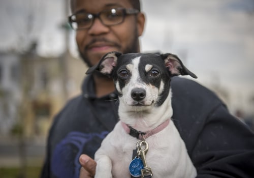 Exploring Animal Welfare-Focused Nonprofit Organizations in Rockville, MD