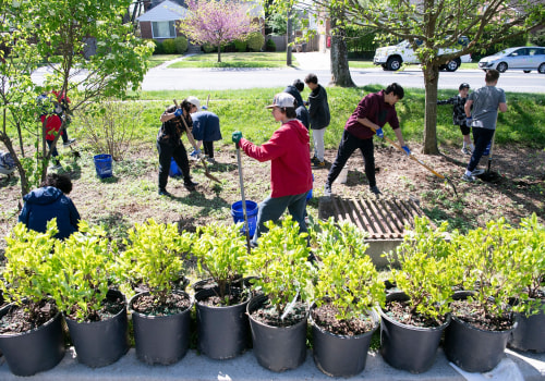 Exploring the Educational Programs Offered by Nonprofit Organizations in Rockville, MD